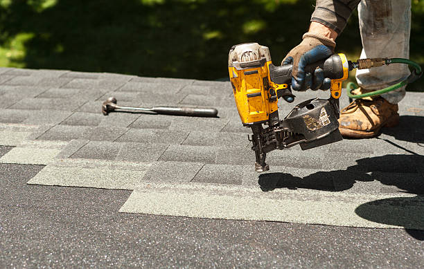 Best Roof Gutter Cleaning  in Dunwoody, GA